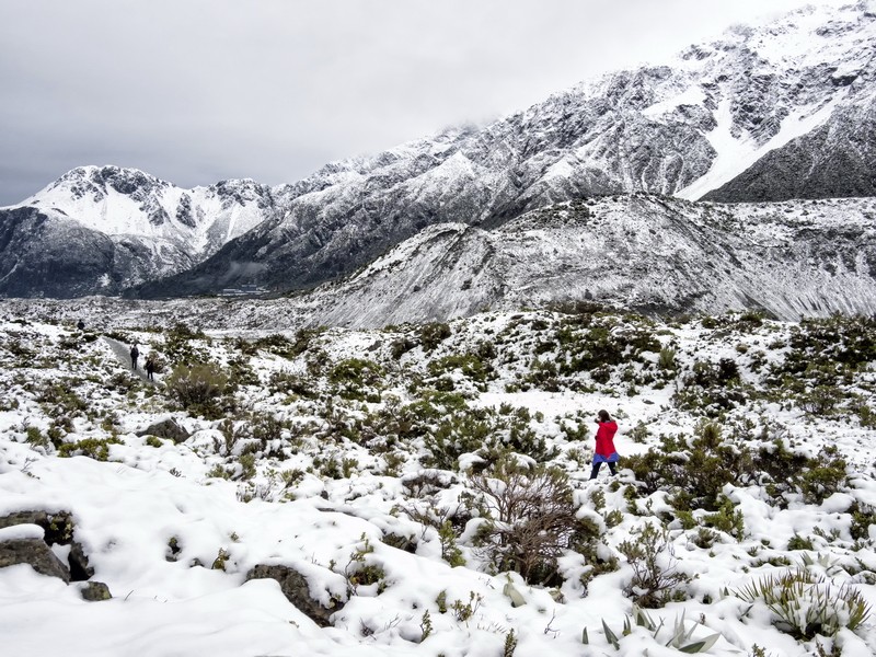 On the Hooker Valley Trail New Zealand
